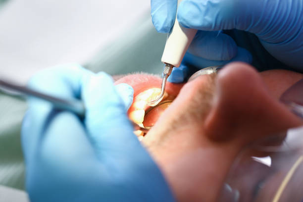 Best Urgent Dental Care in Bear Creek, AK